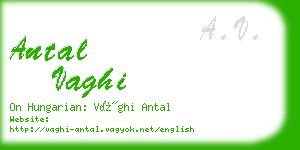 antal vaghi business card